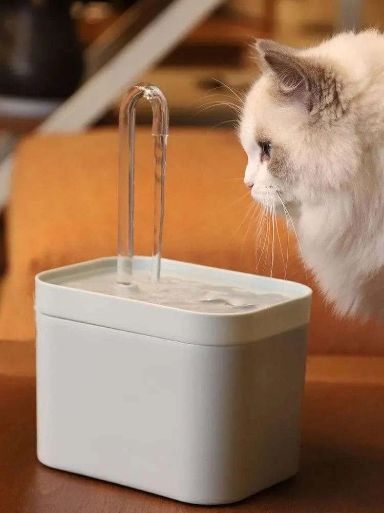 Bebedouro inteligente para gatos - Mantém seu amigo hidratado