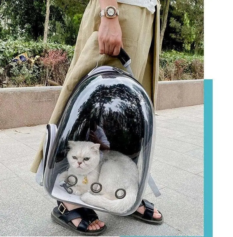 Mochila para gato PetLove - Transporte seguro e confortável